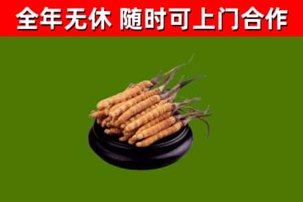 于田县烟酒回收冬虫夏草.jpg