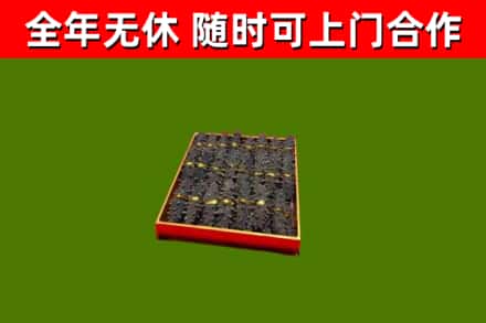 于田县回收海参
